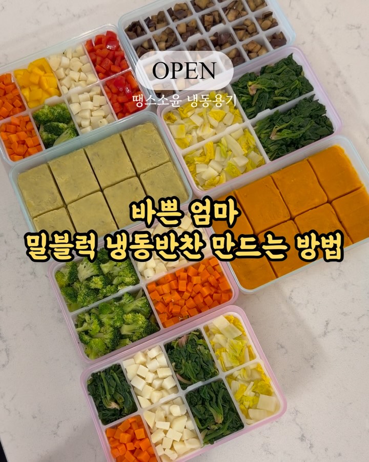 강미즈 밀블럭 냉동용기