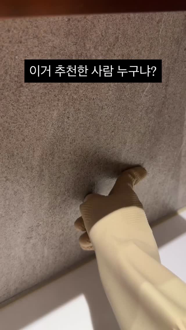 스팀청소기