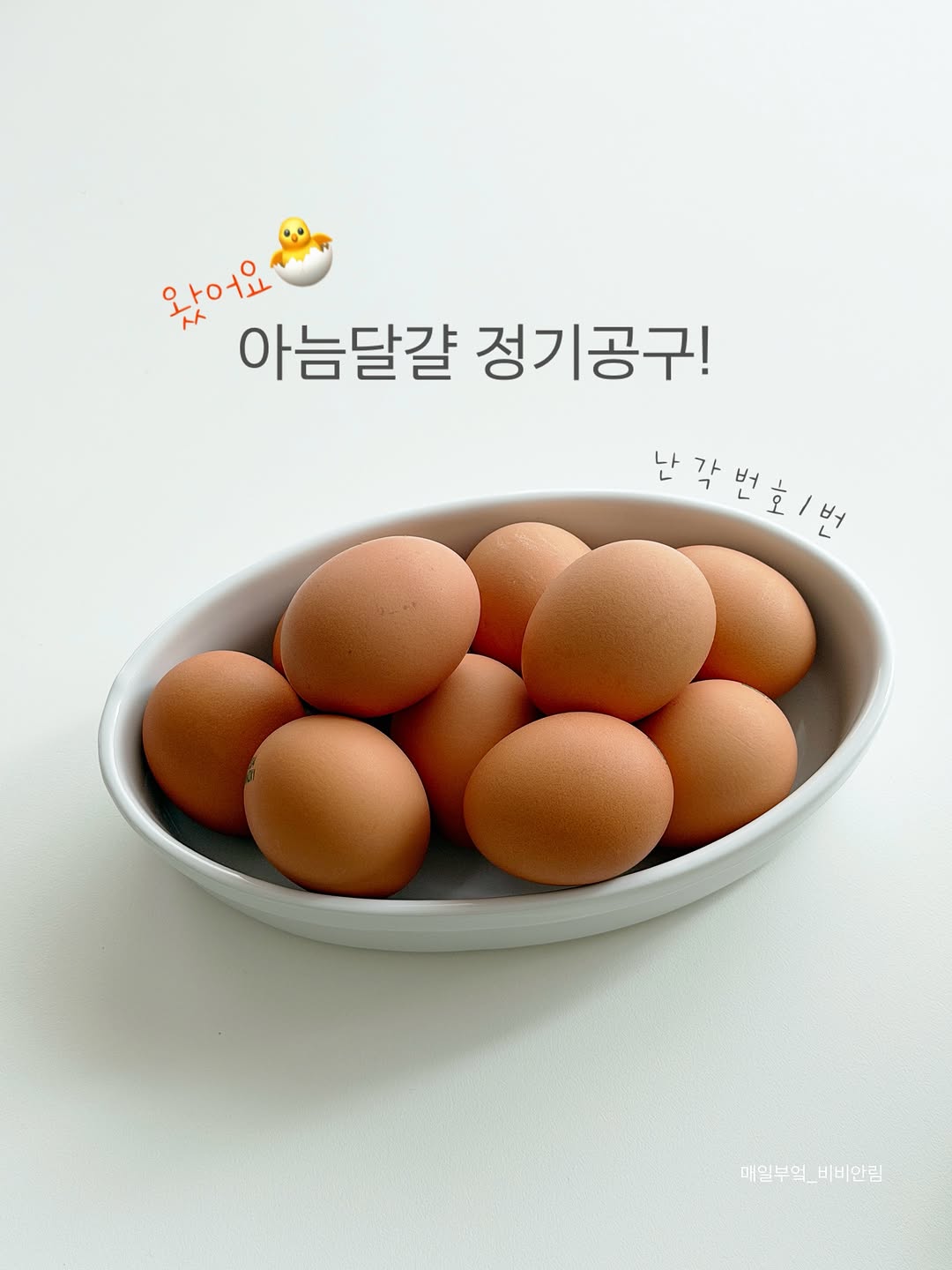 난각번호 1번 방목 유정란/아늠달걀 22차