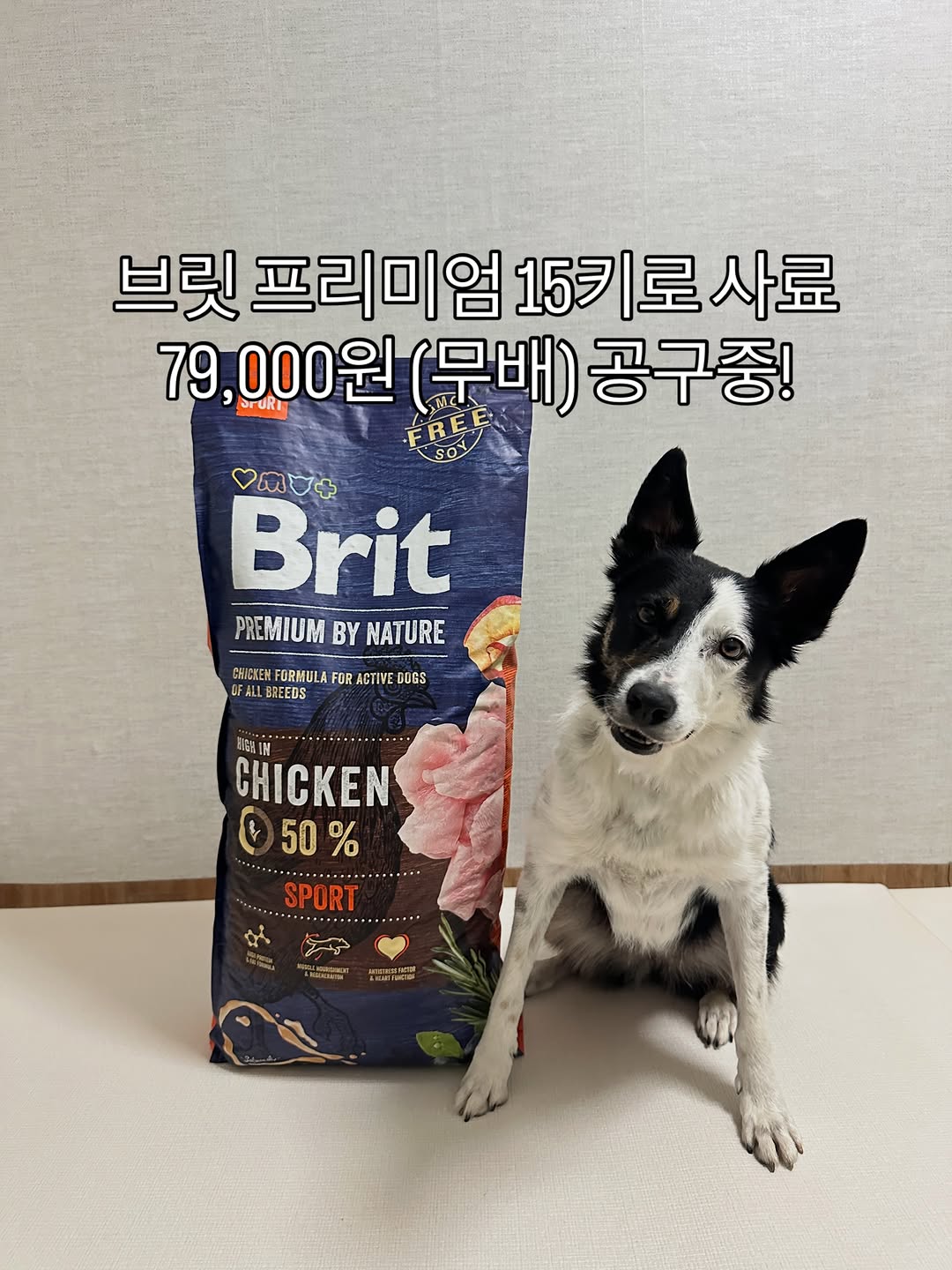 프리미엄 15키로