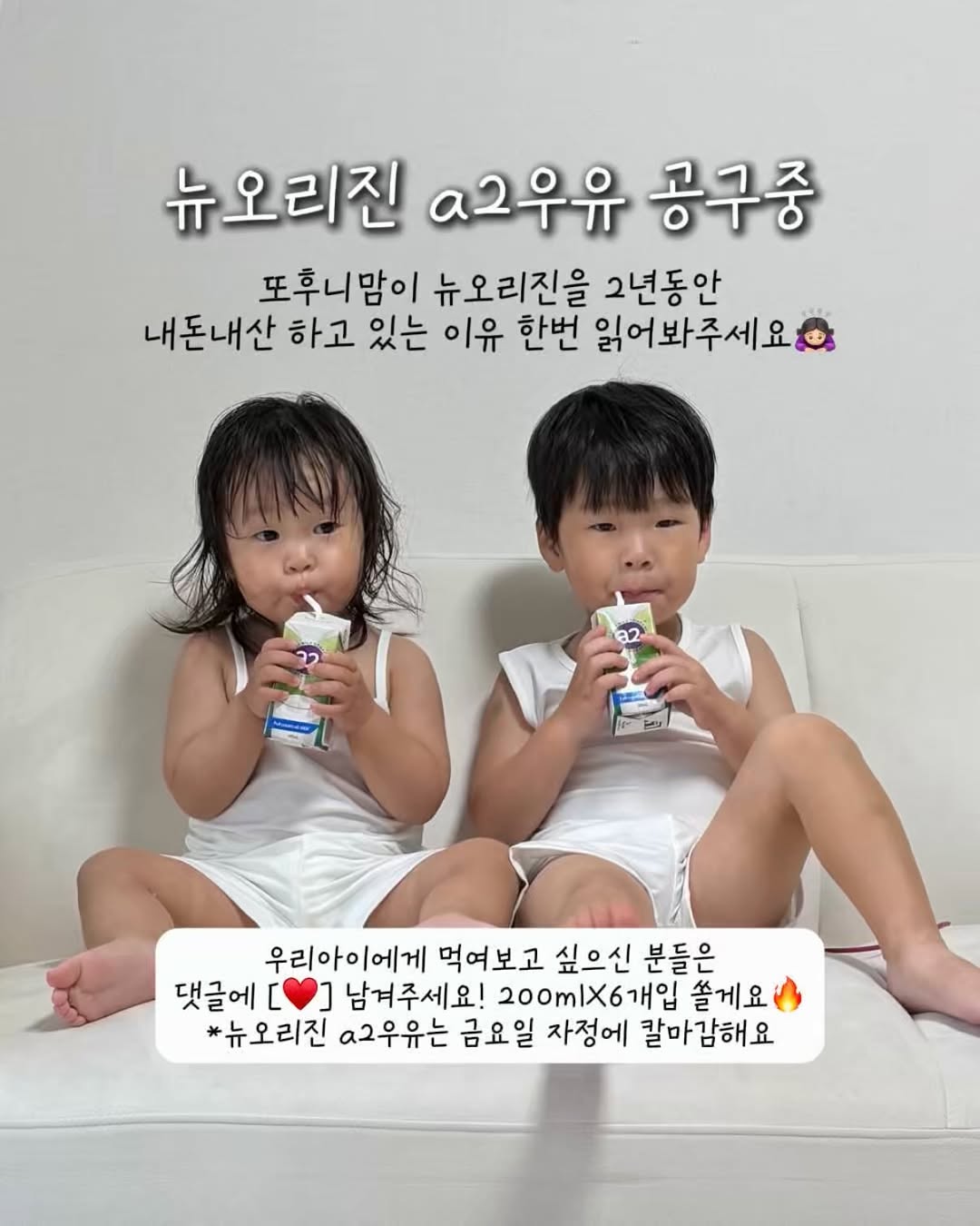 뉴오리진 a2우유