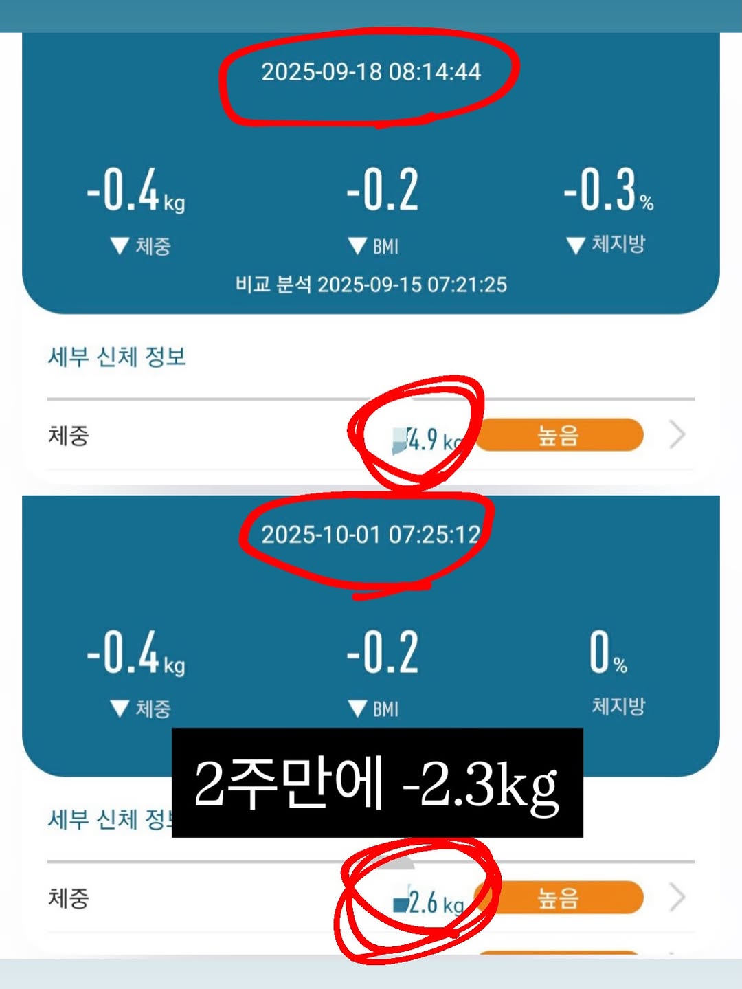 잇츠 그린샐러드