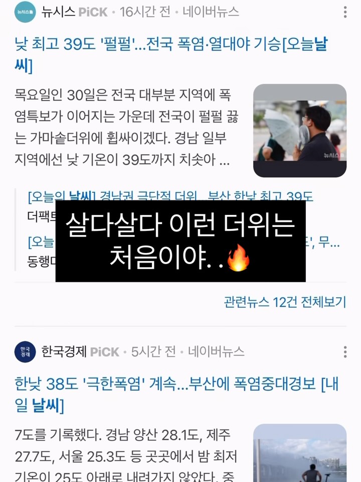 앱솔겔 제습제