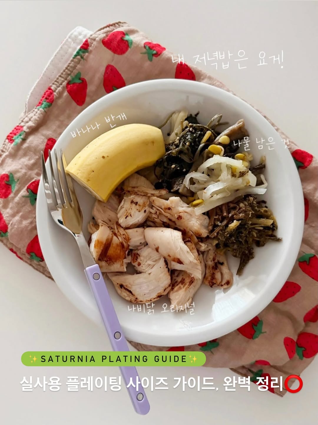 사투니아 로마 시리즈