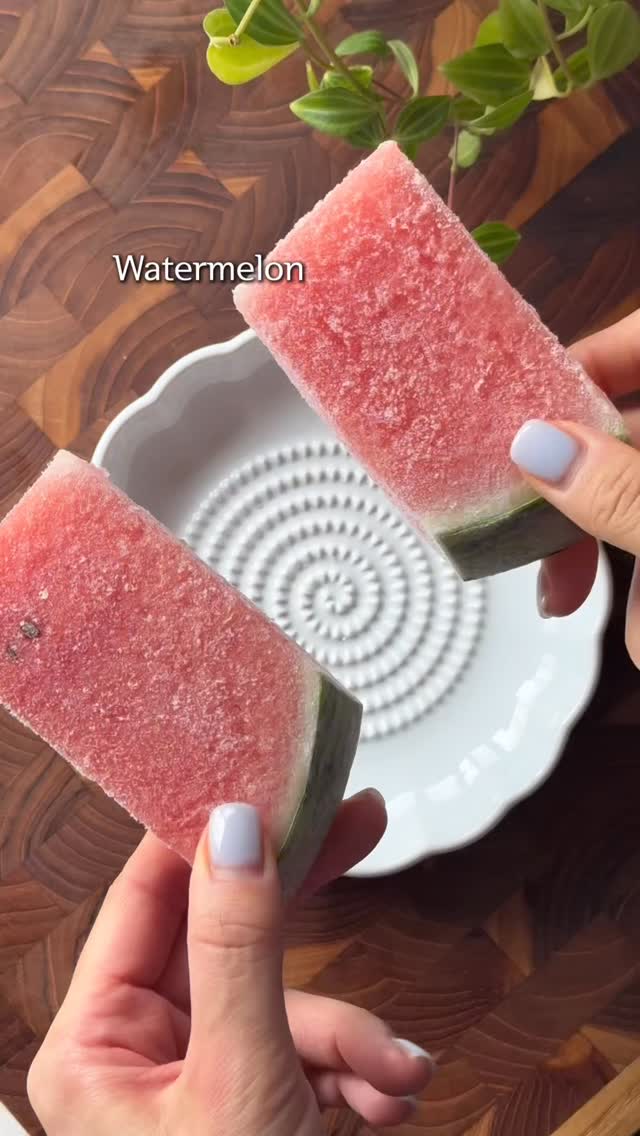 판콘토마테 접시