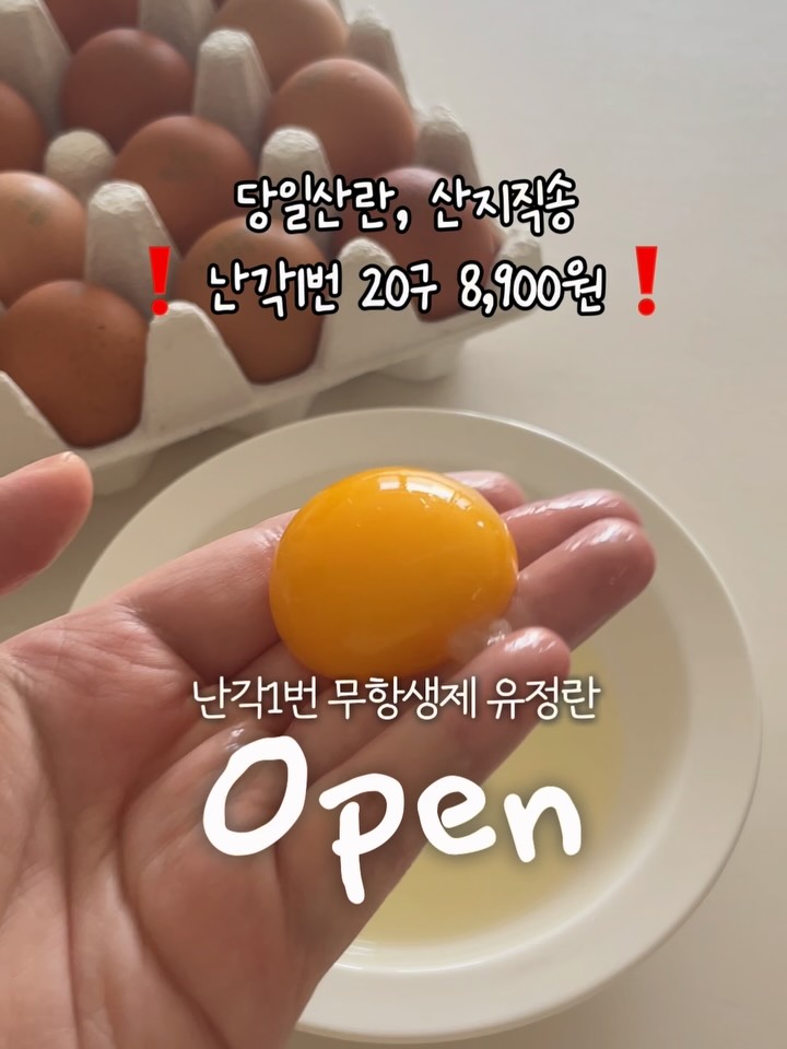 난각1번 자연방사 무항생제 유정란