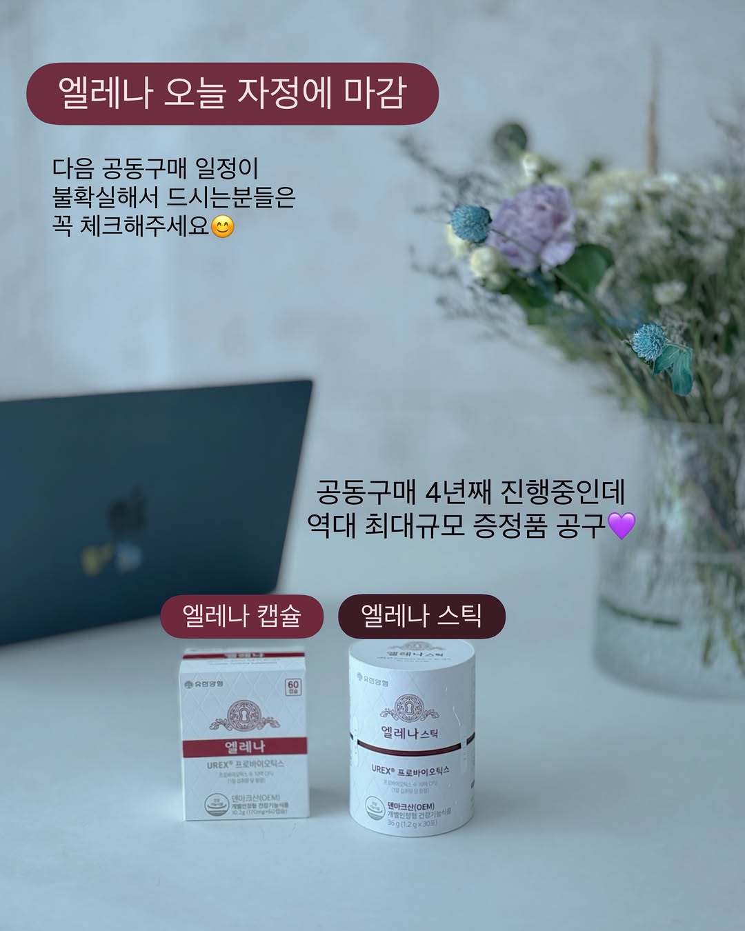 엘레나 스틱
