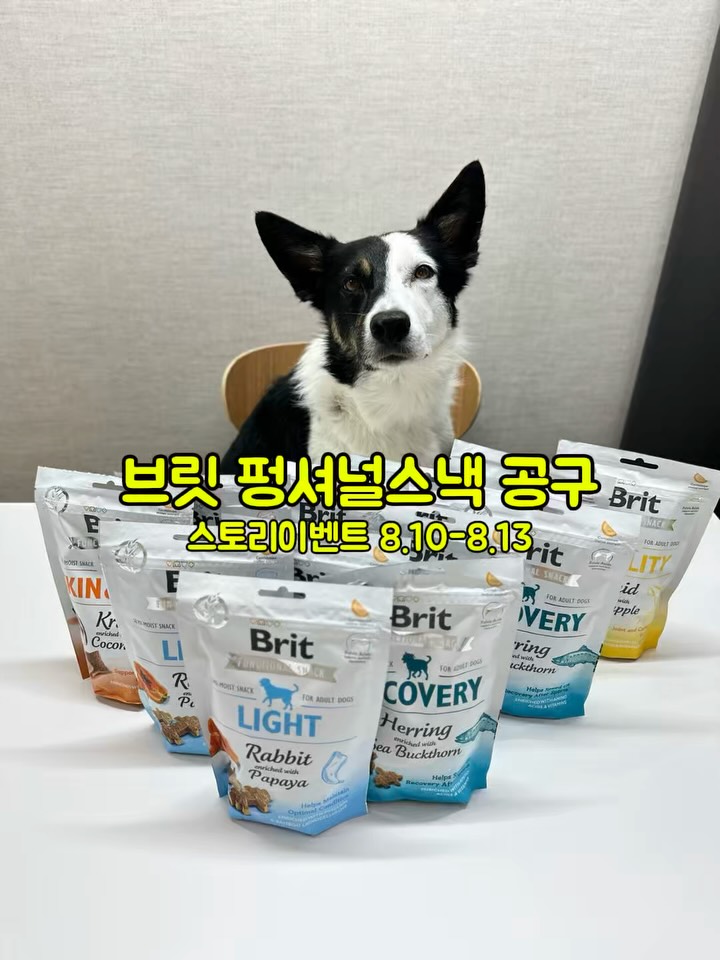 브릿 펑셔널 스낵