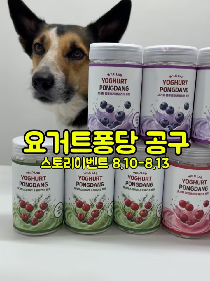 요거트퐁당 동결건조간식