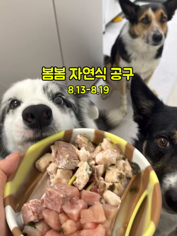 봄봄 체험팩