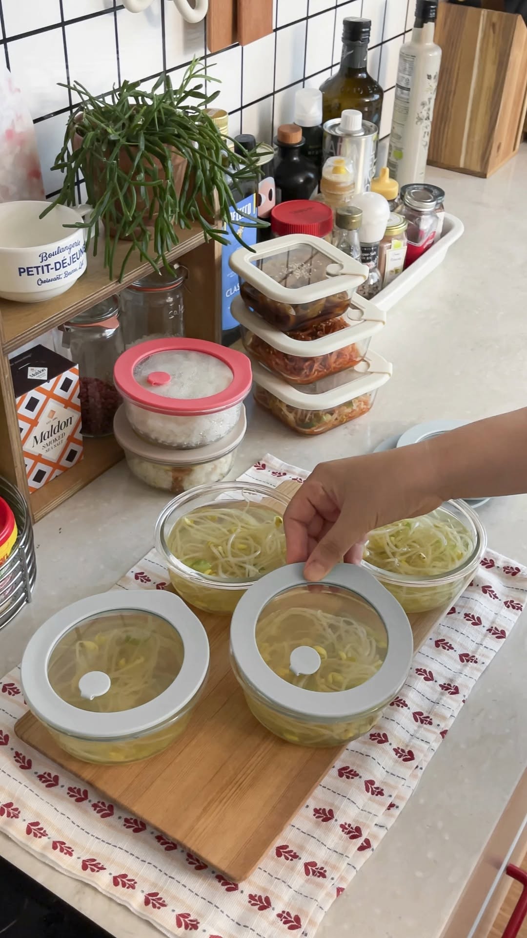 라이프온도 유리밥용기
