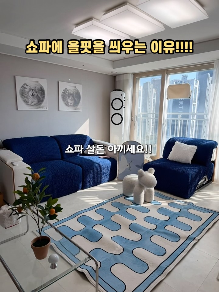 올핏