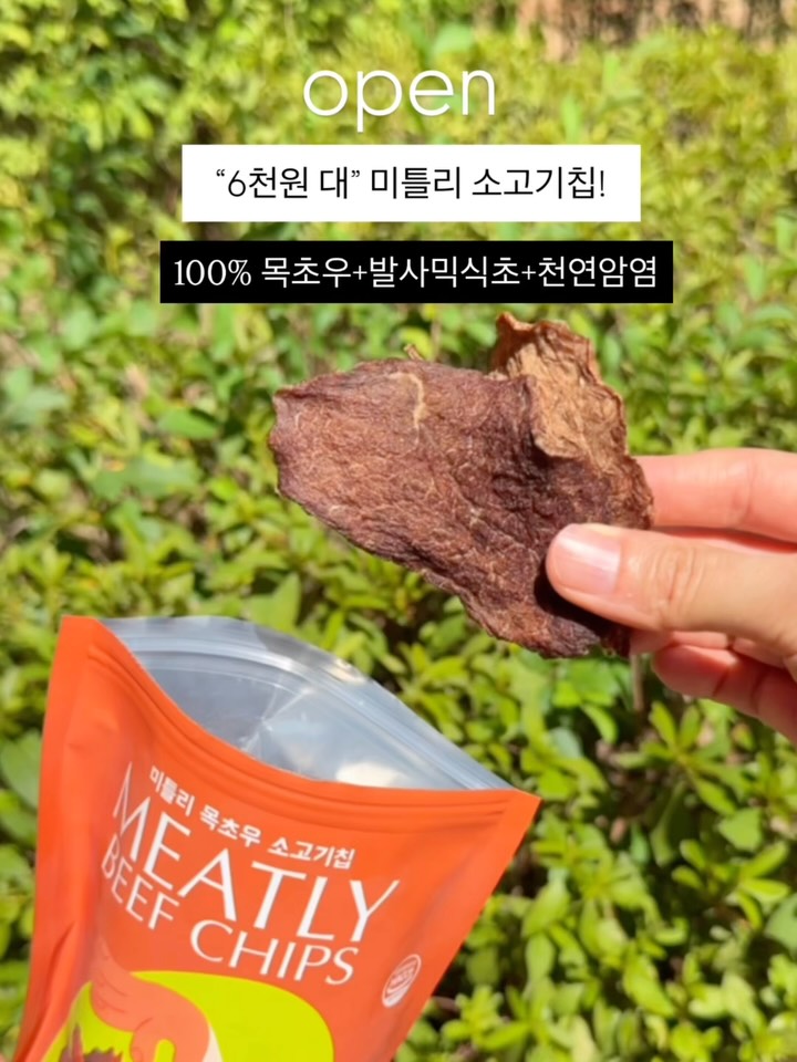 미틀리 소고기칩