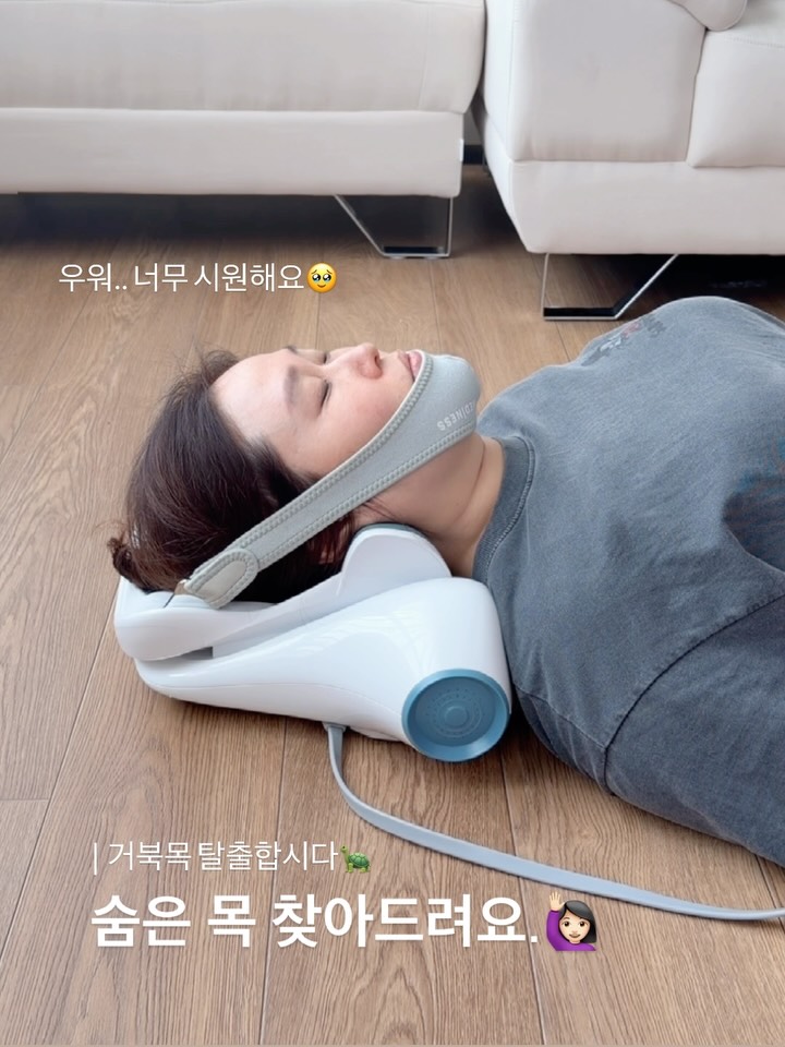 메디니스 목견인기