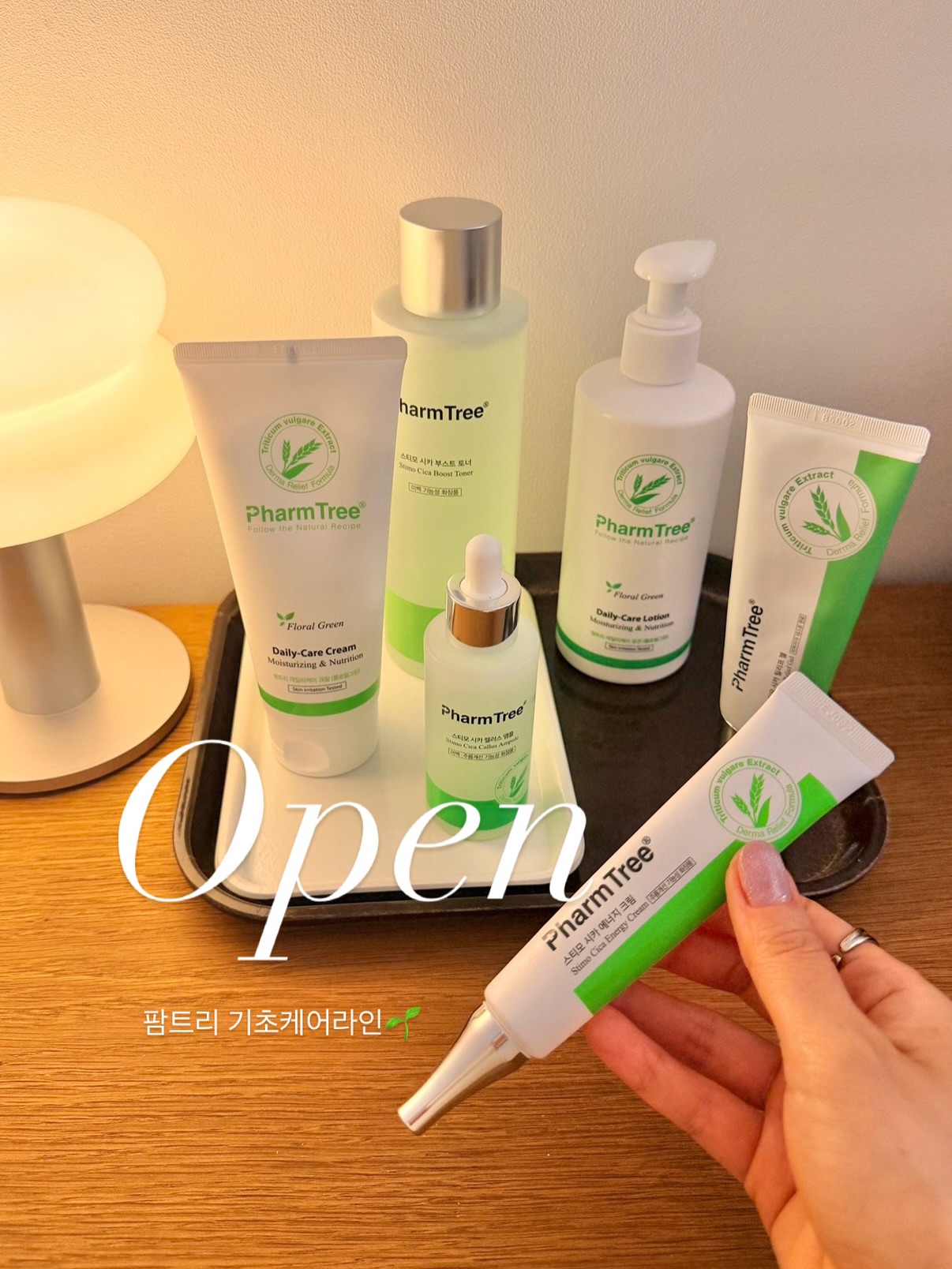 팜트리 스티모시카 & 데일리케어
