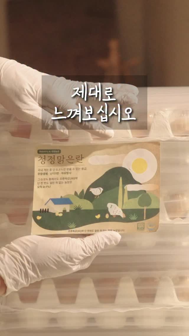 무항생제 유정란