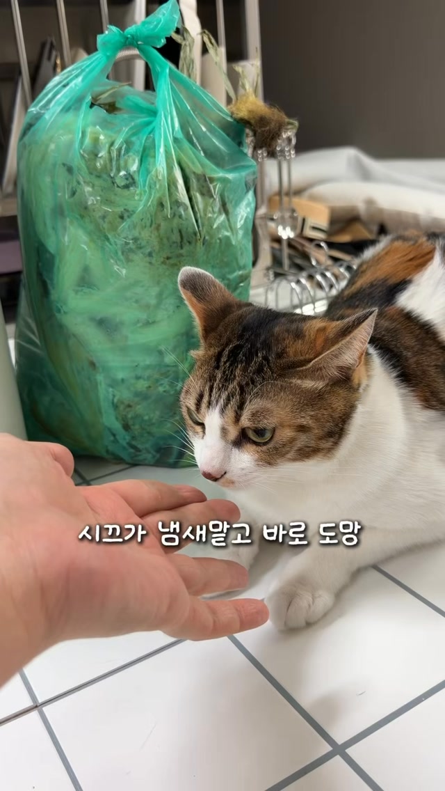 미닉스 더 플렌더 맥스
