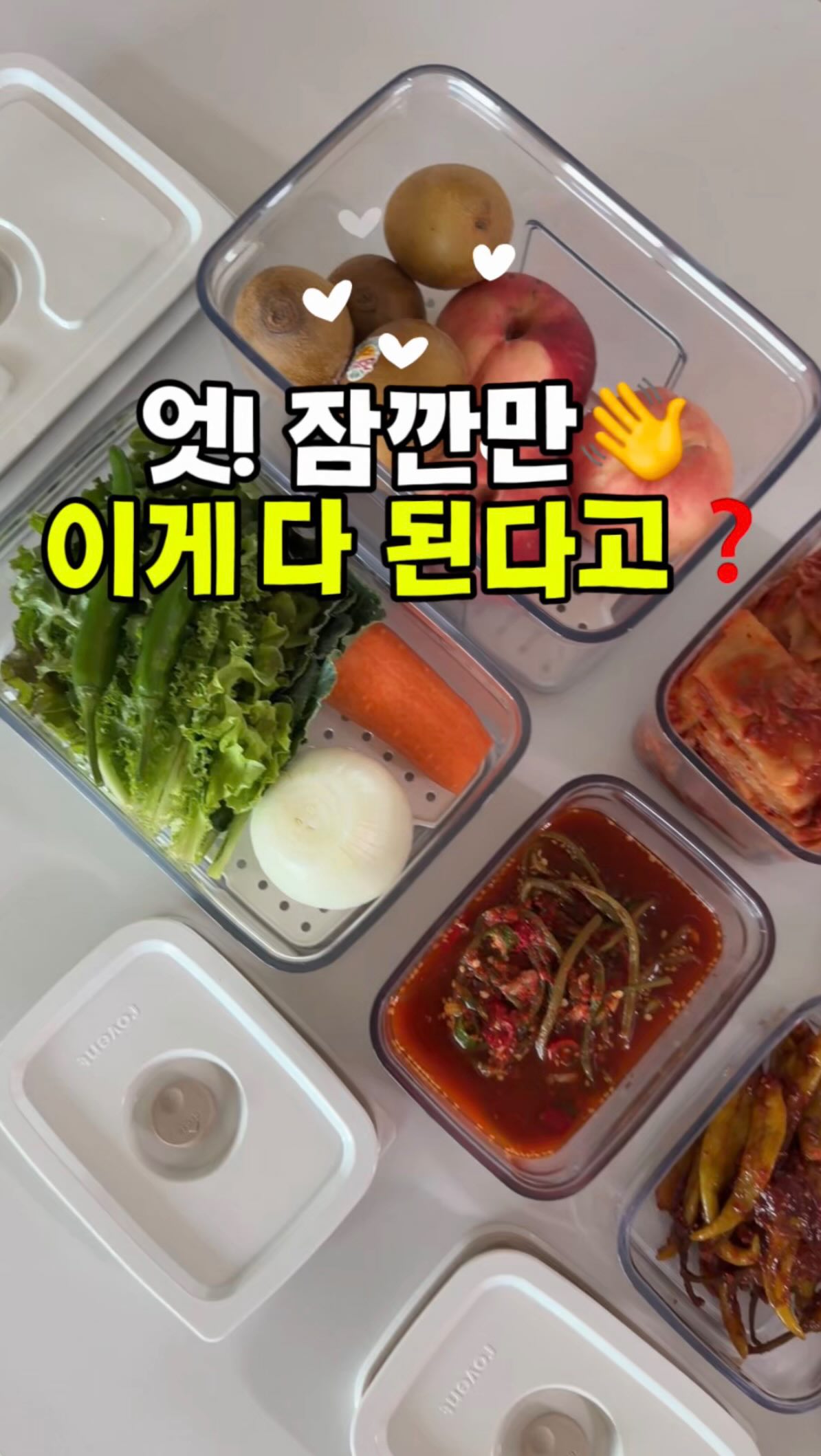 하이브리드 바큠
