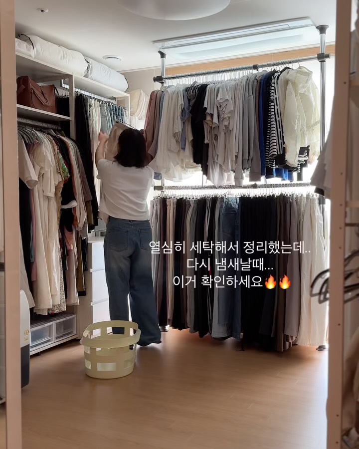 플레인팟