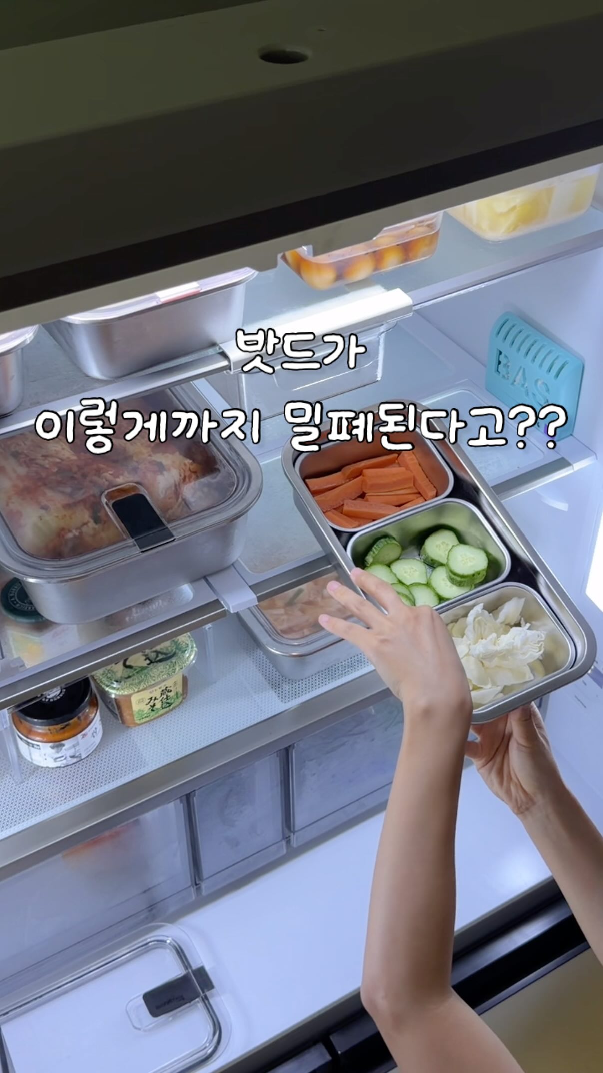 완벽 밀폐 스텐 밧드 + 다다 핑크실리콘