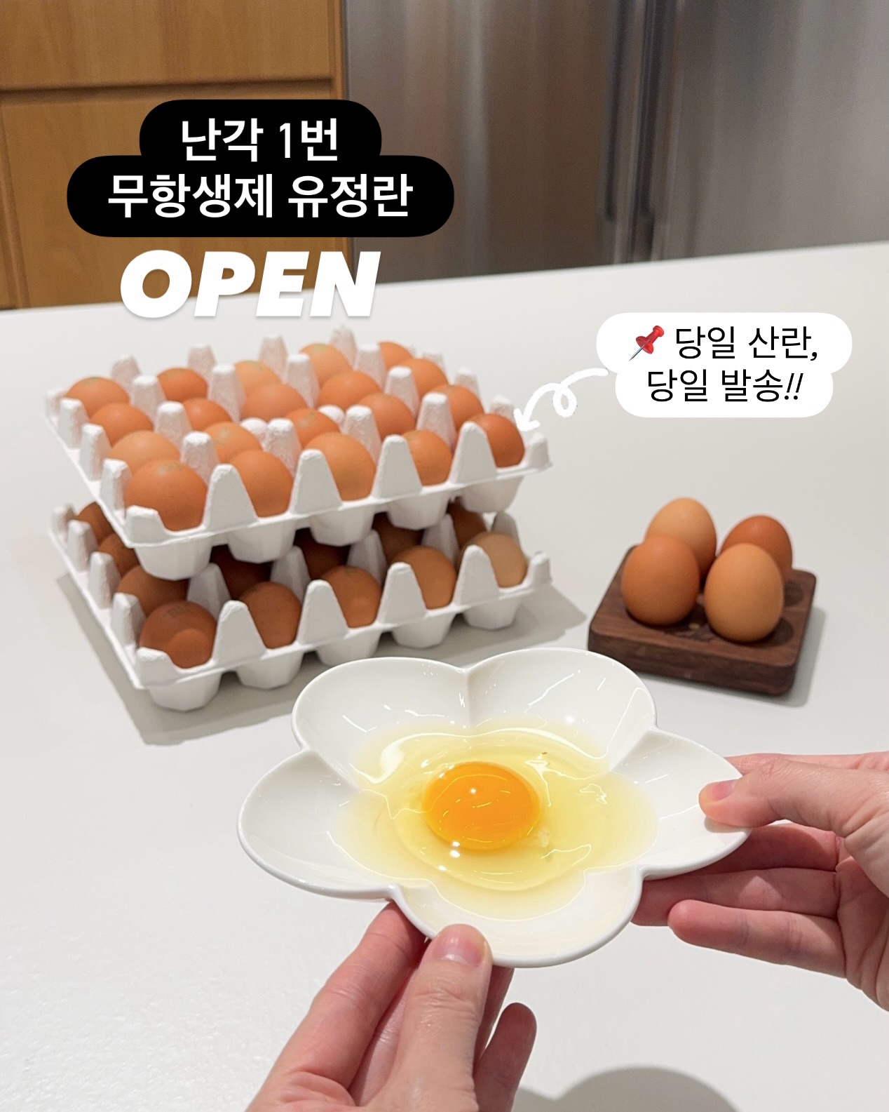 난각 1번 무항생제 유정란