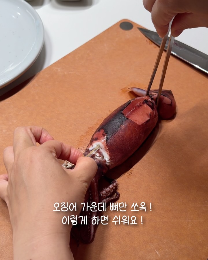통오징어