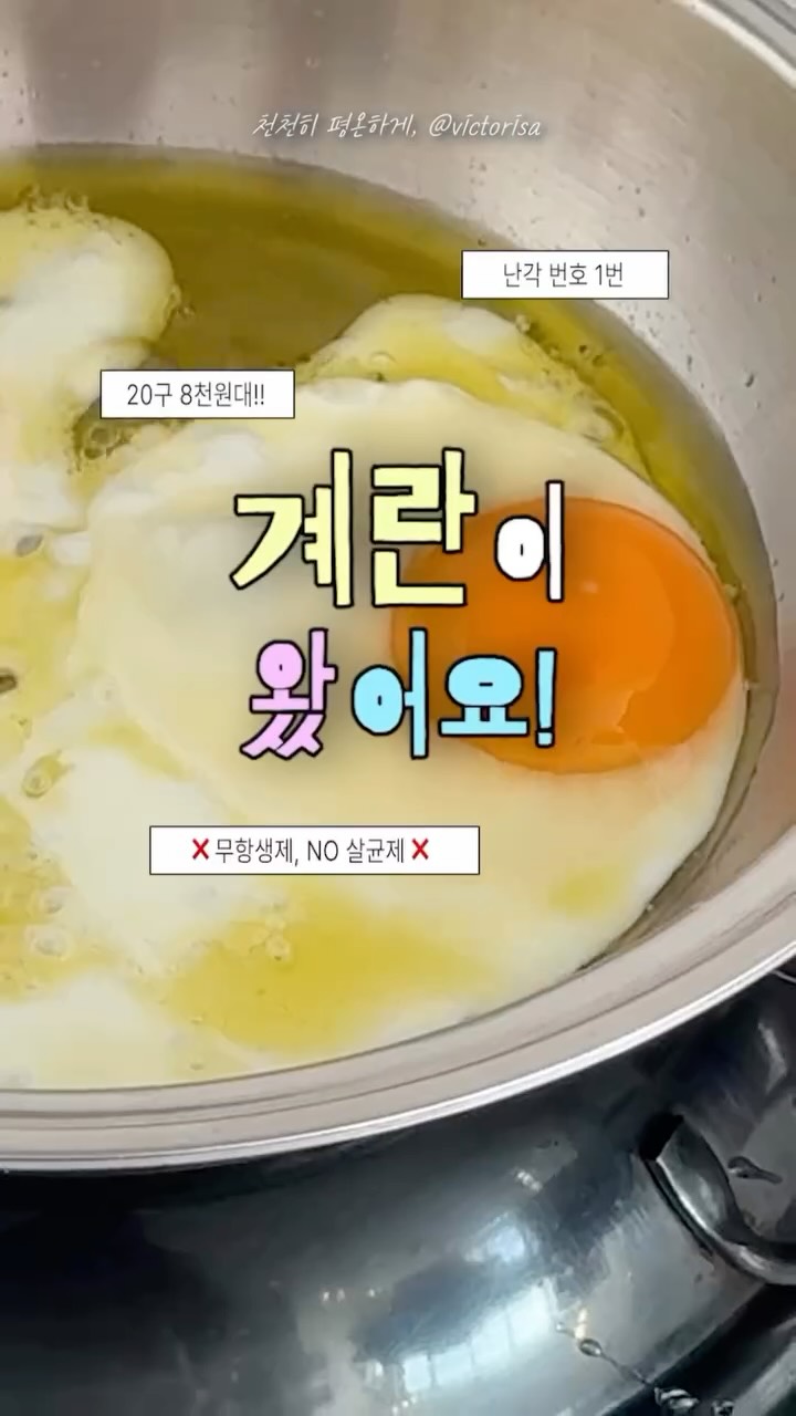 무항생제 + 1번 유정란 + 자유방사