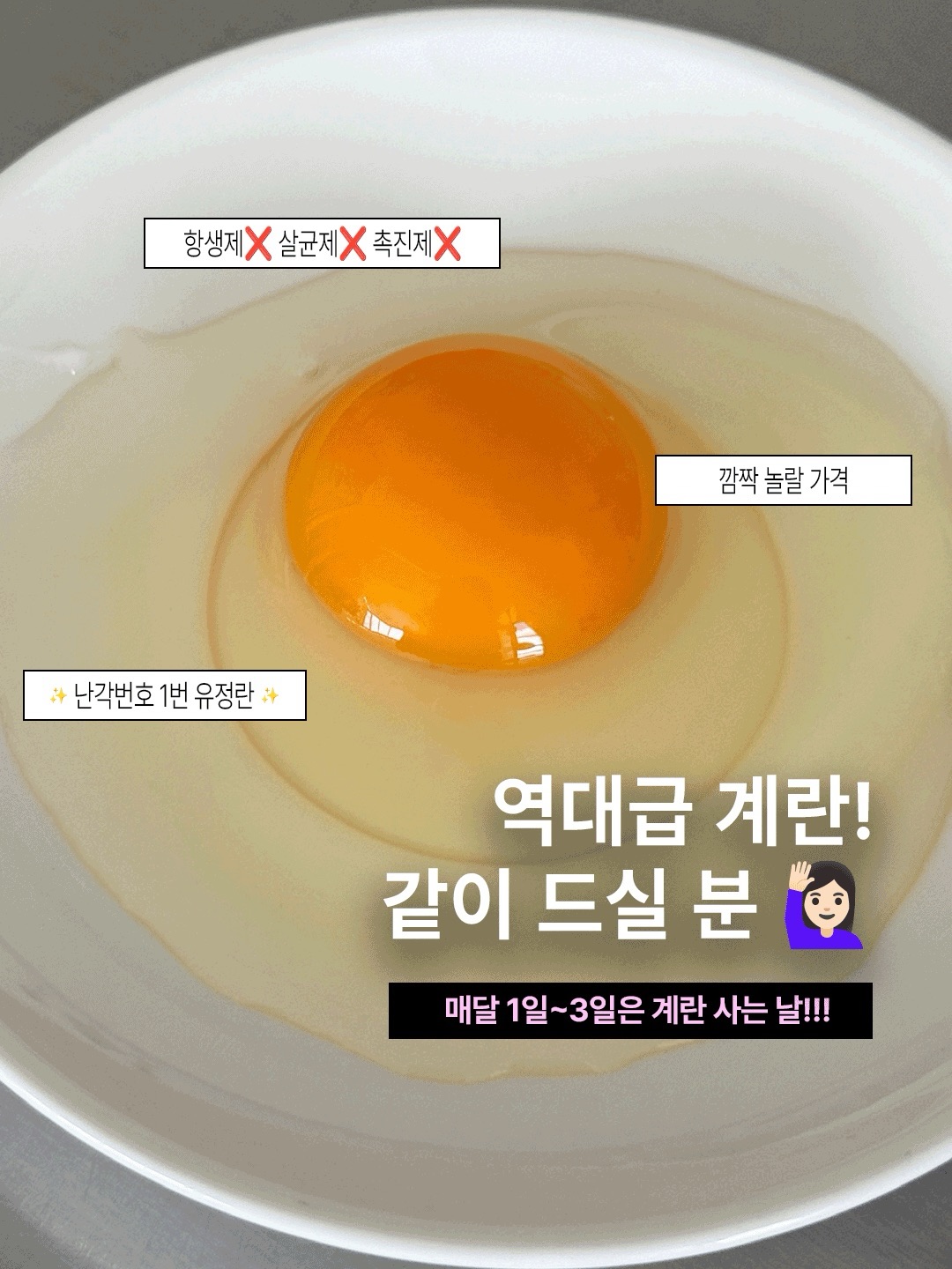 계란 한달 먹기