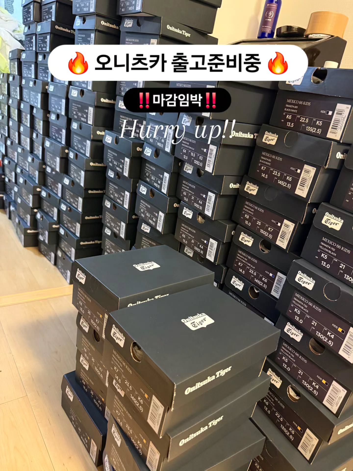 오니츠카 버치/피코트