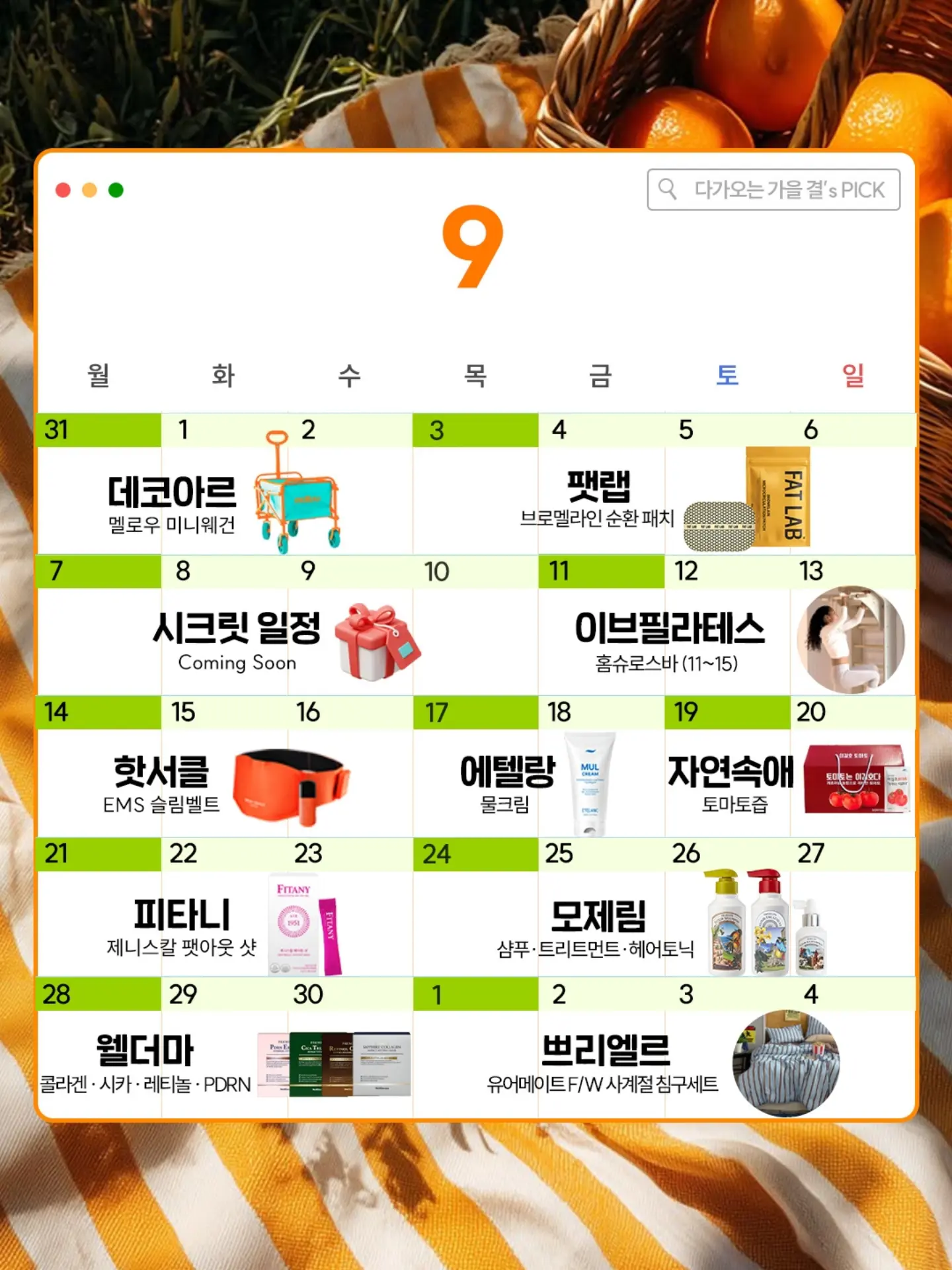 NEW 팻랩 브로멜라인 순환 패치