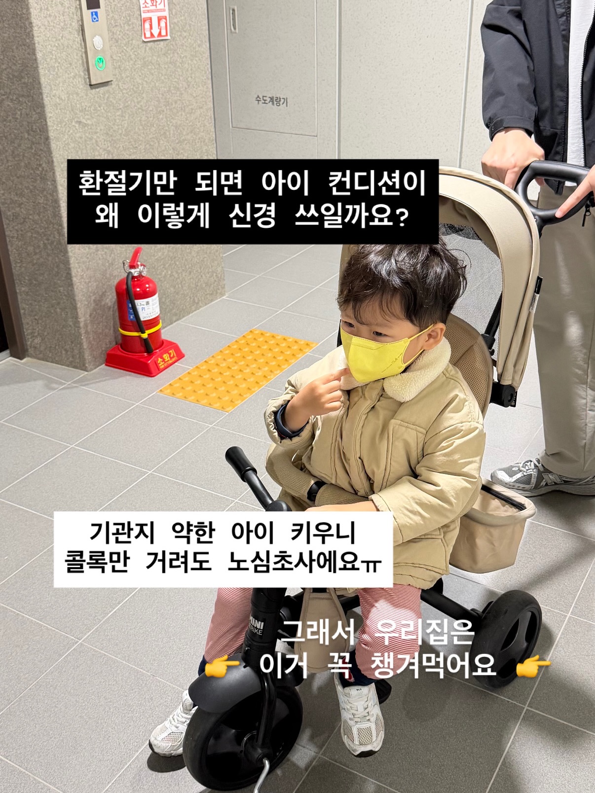 엘더베리 빌베리 프로폴리스 1BOX (30포)