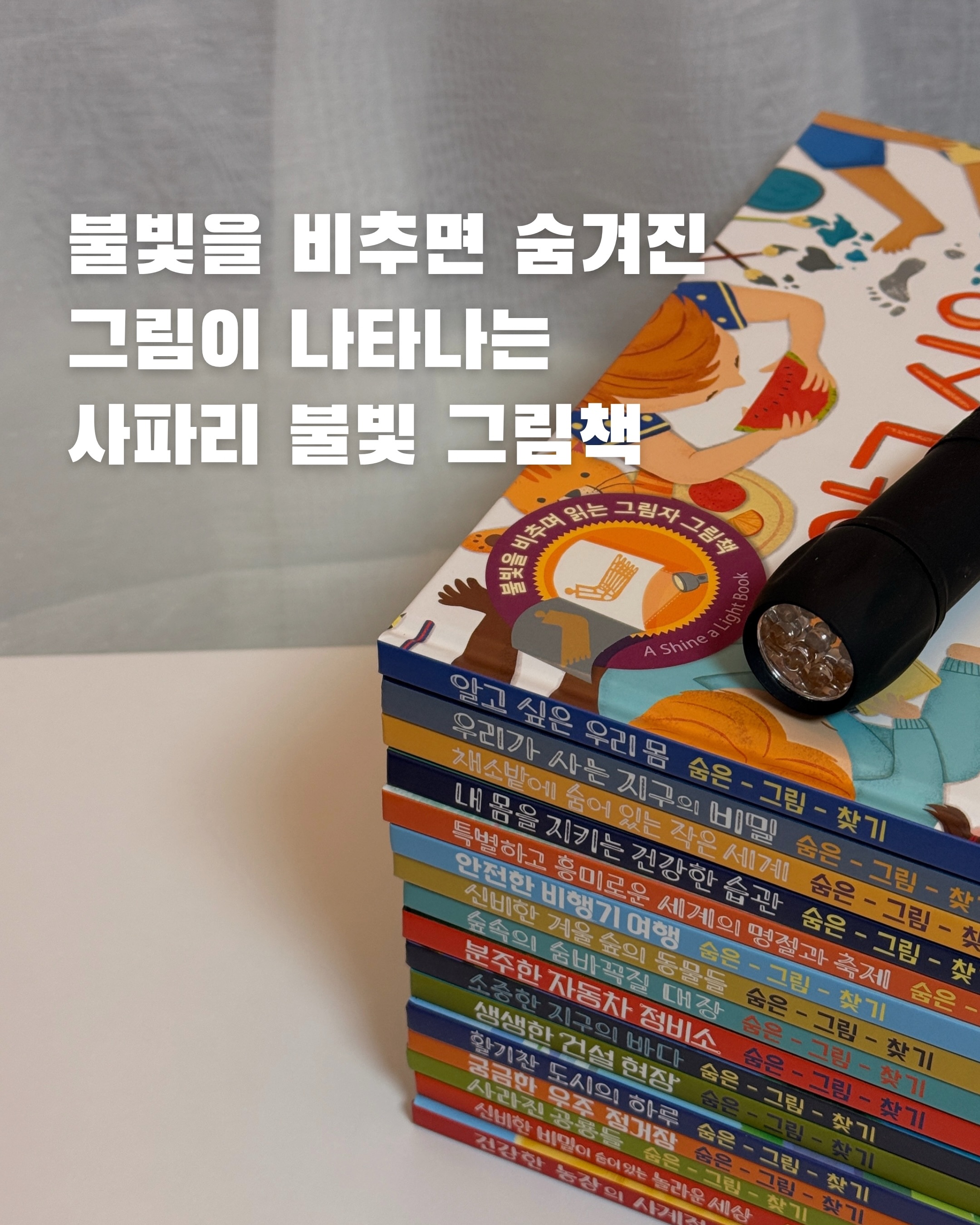 사파리 불빛 그림책