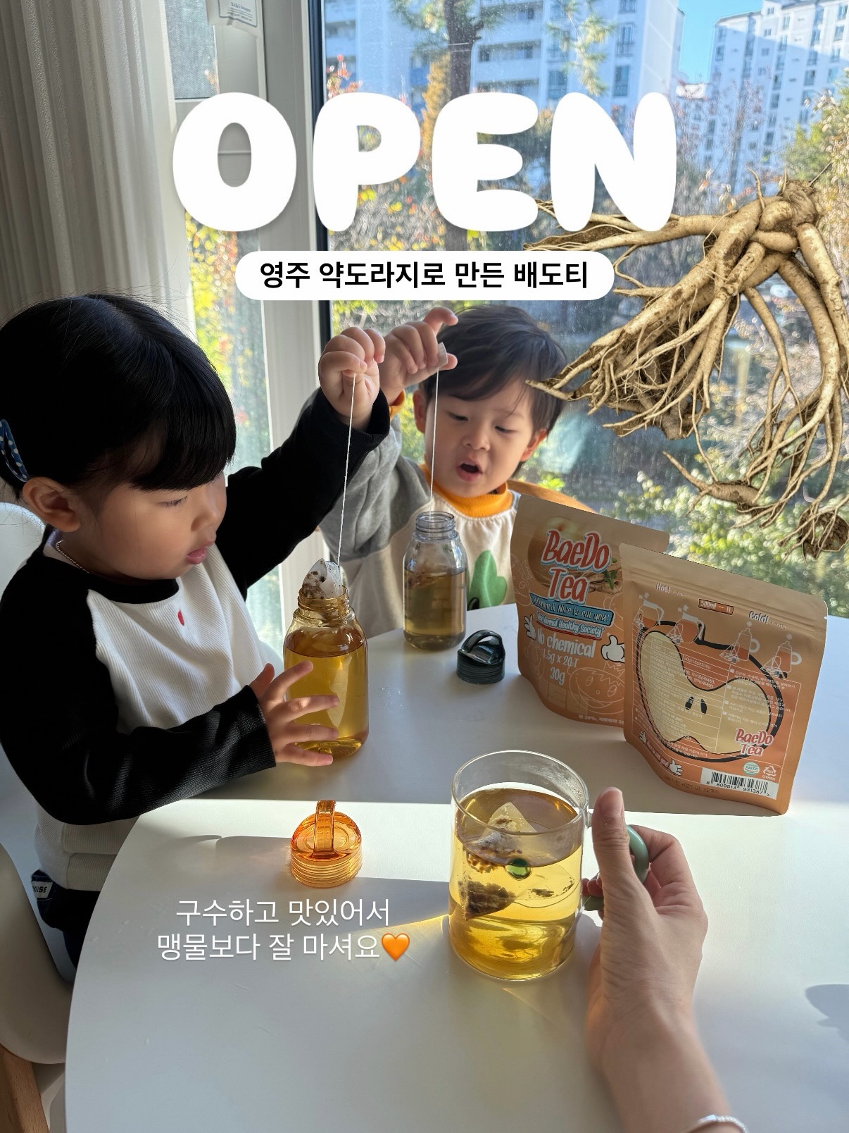 배도티