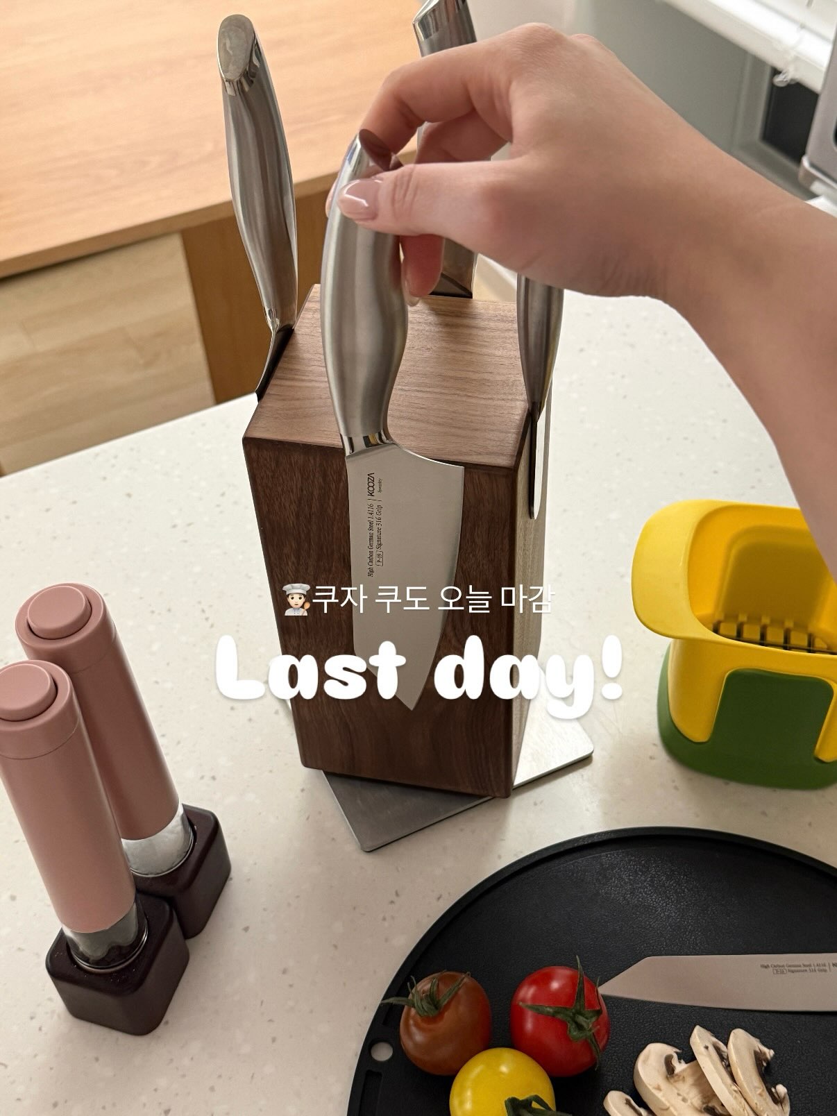 쿠자 쿠도