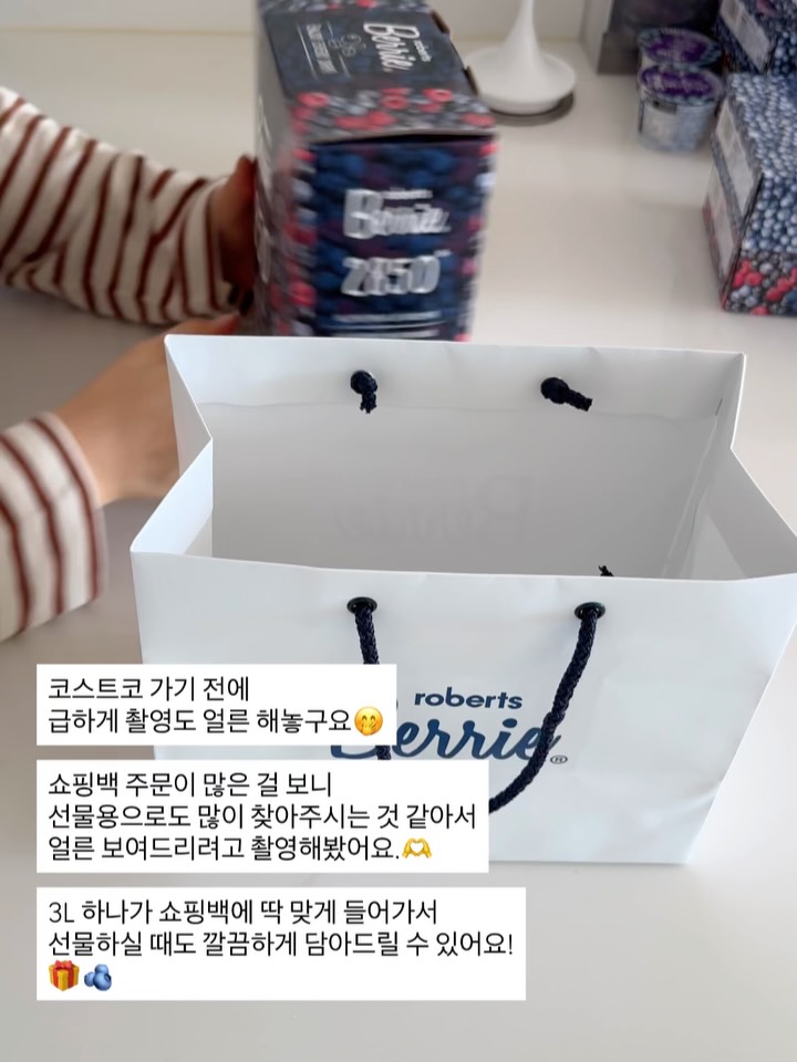 빌베리