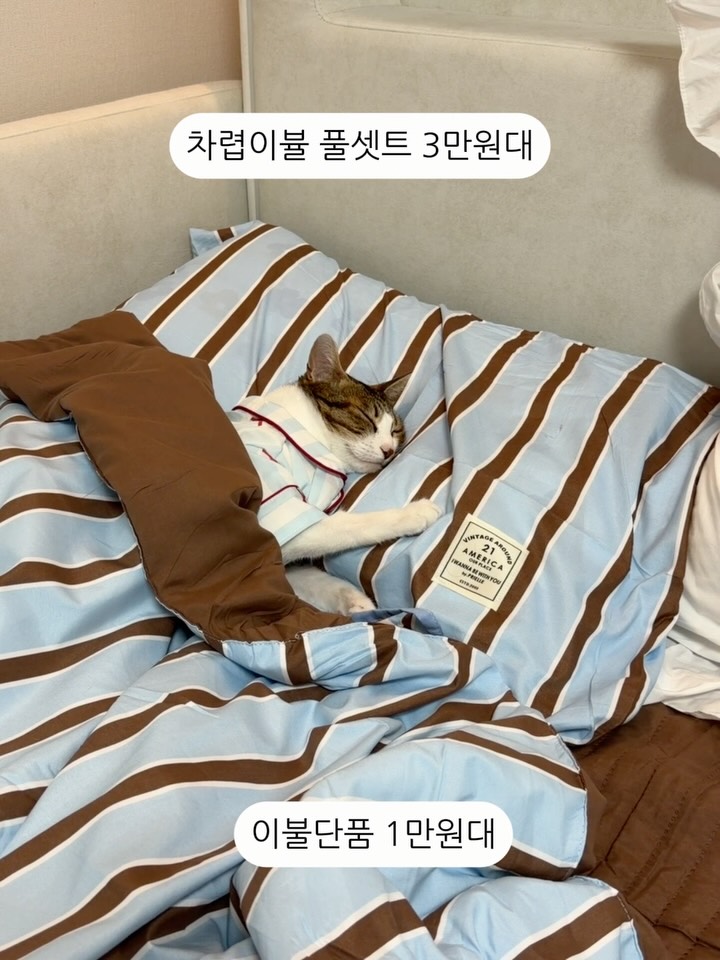 차렵이불 단품