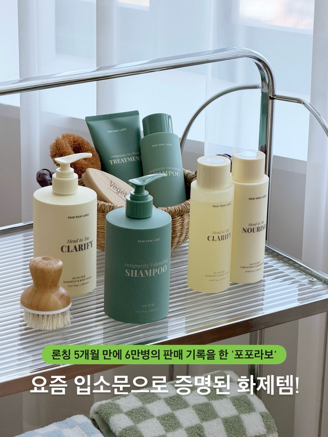 포포라보 시리즈
