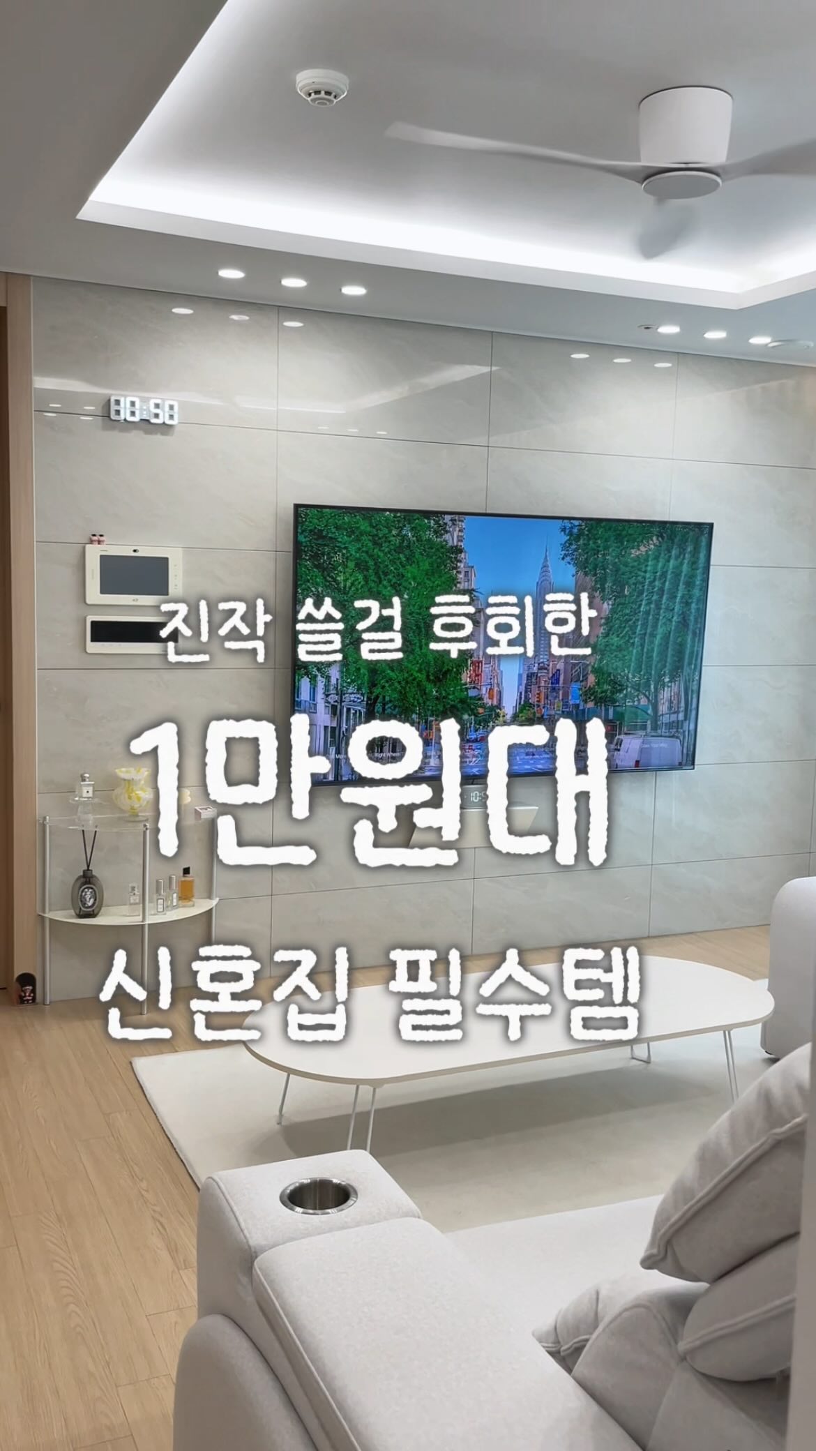 BAS 탈취제
