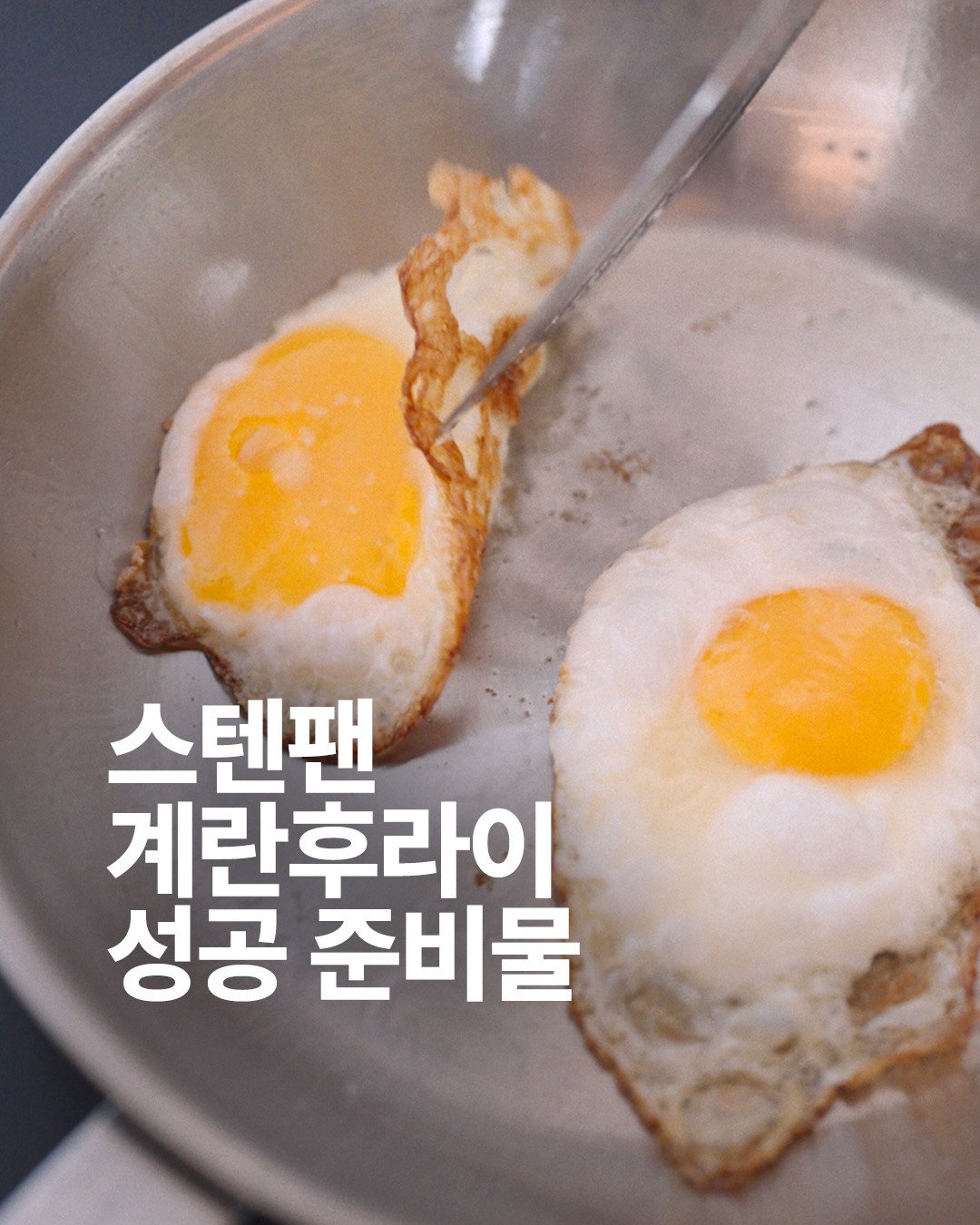 쉐프윈 스텐팬