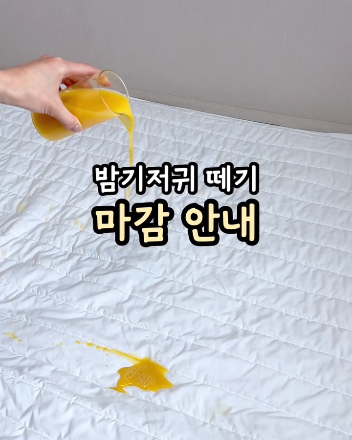 보드리 방수패드