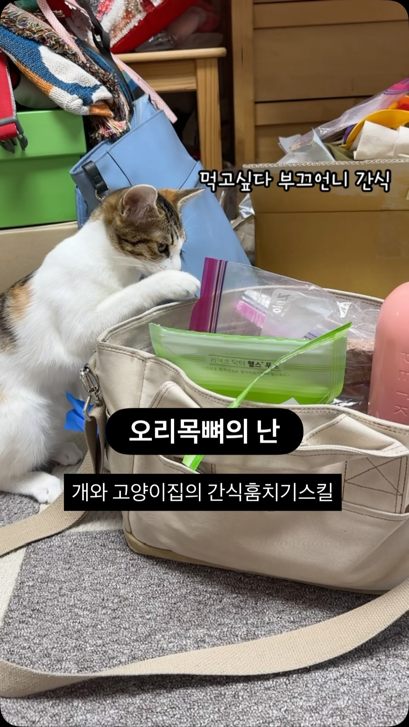 동결건조 대용량 오리목뼈