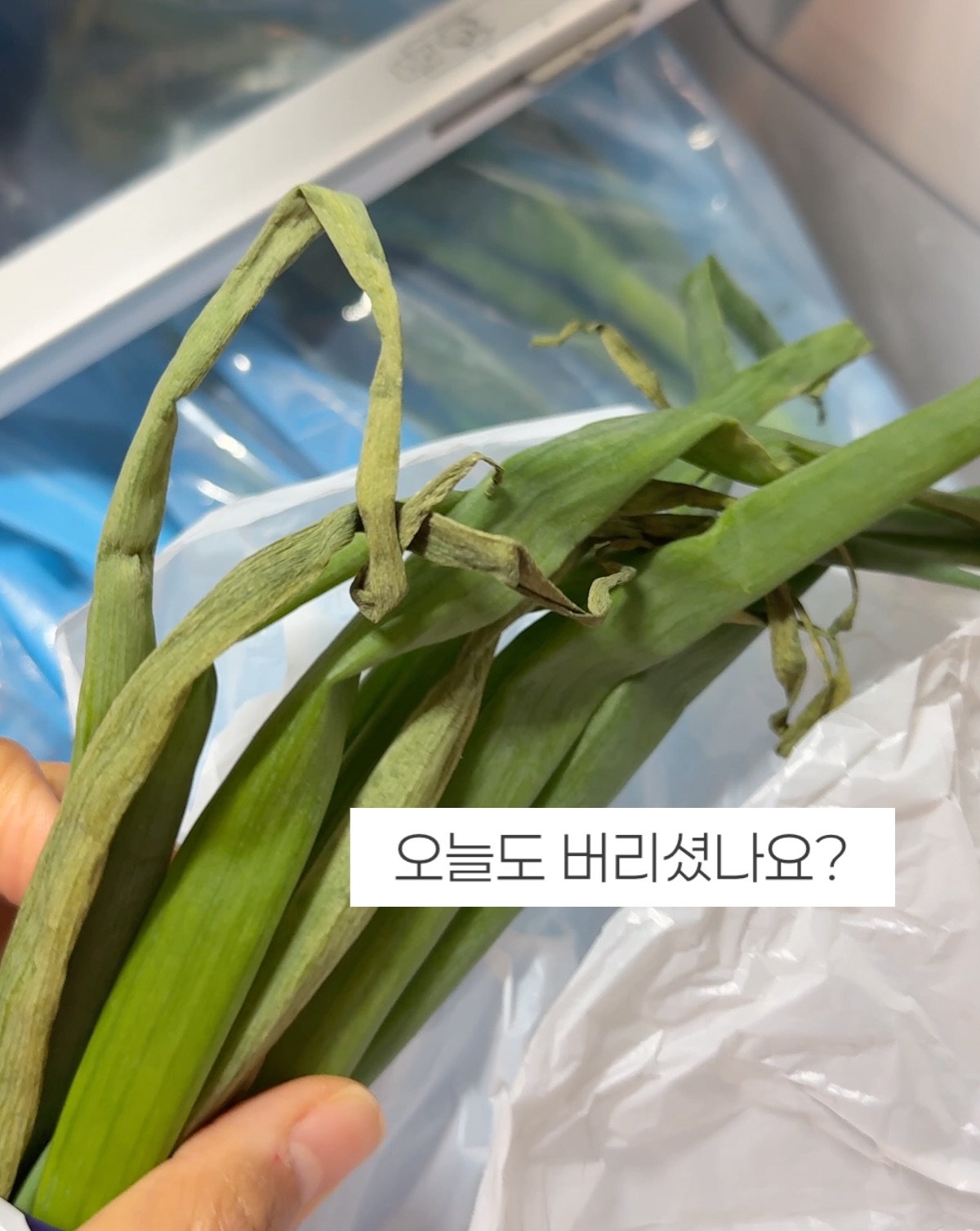 247팩 프리미엄