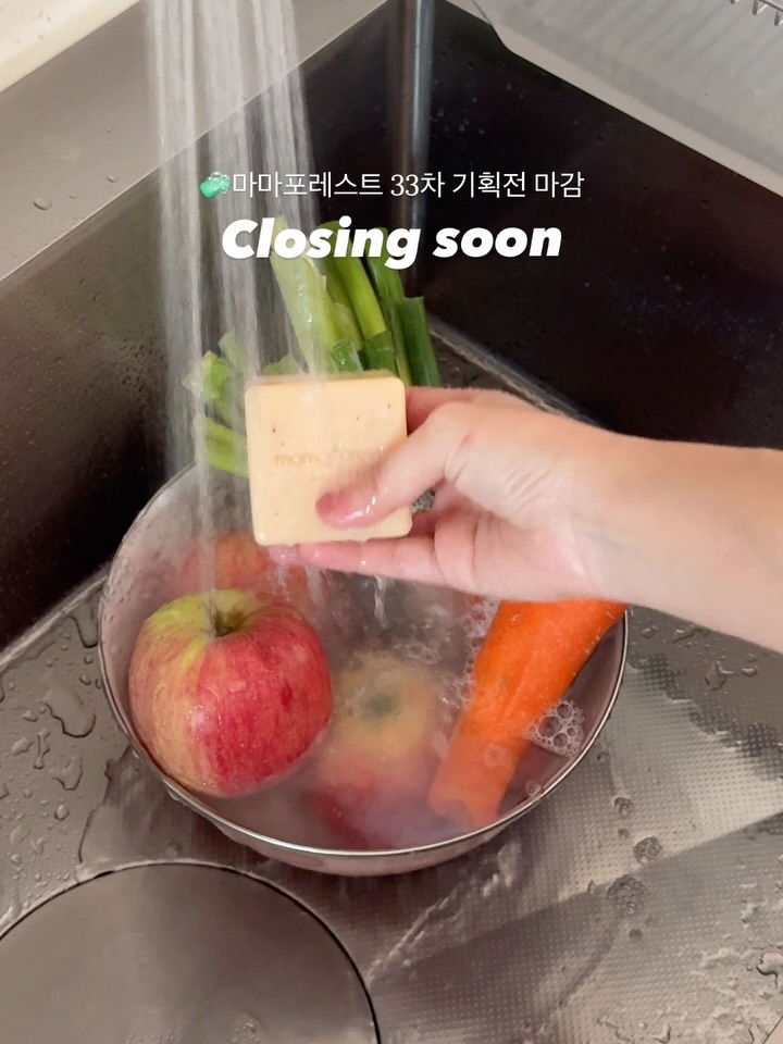 솔솔홈 X 마마포레스트 33차 정기 기획전