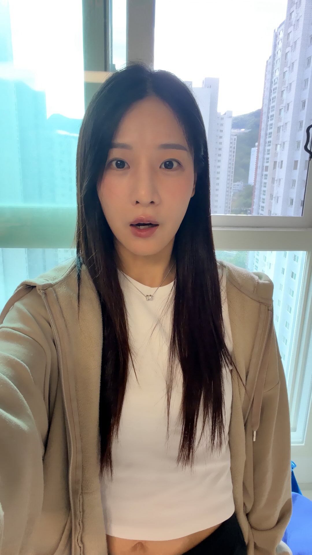비쎌 습식청소기