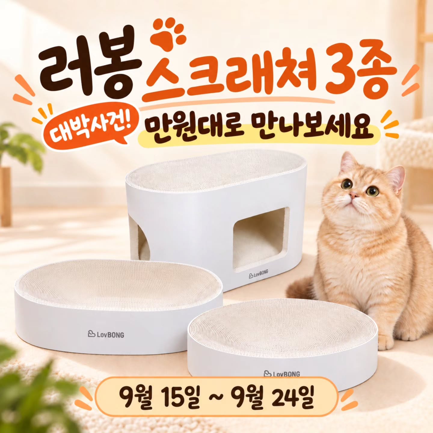 러봉 스크래쳐 3종