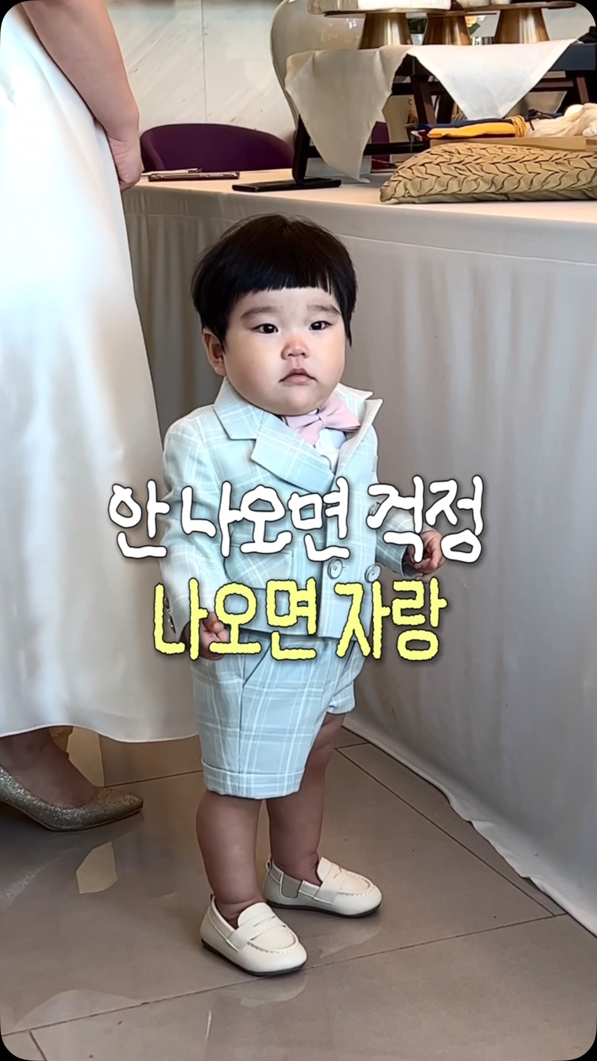 바이오가이아 유산균 모음전