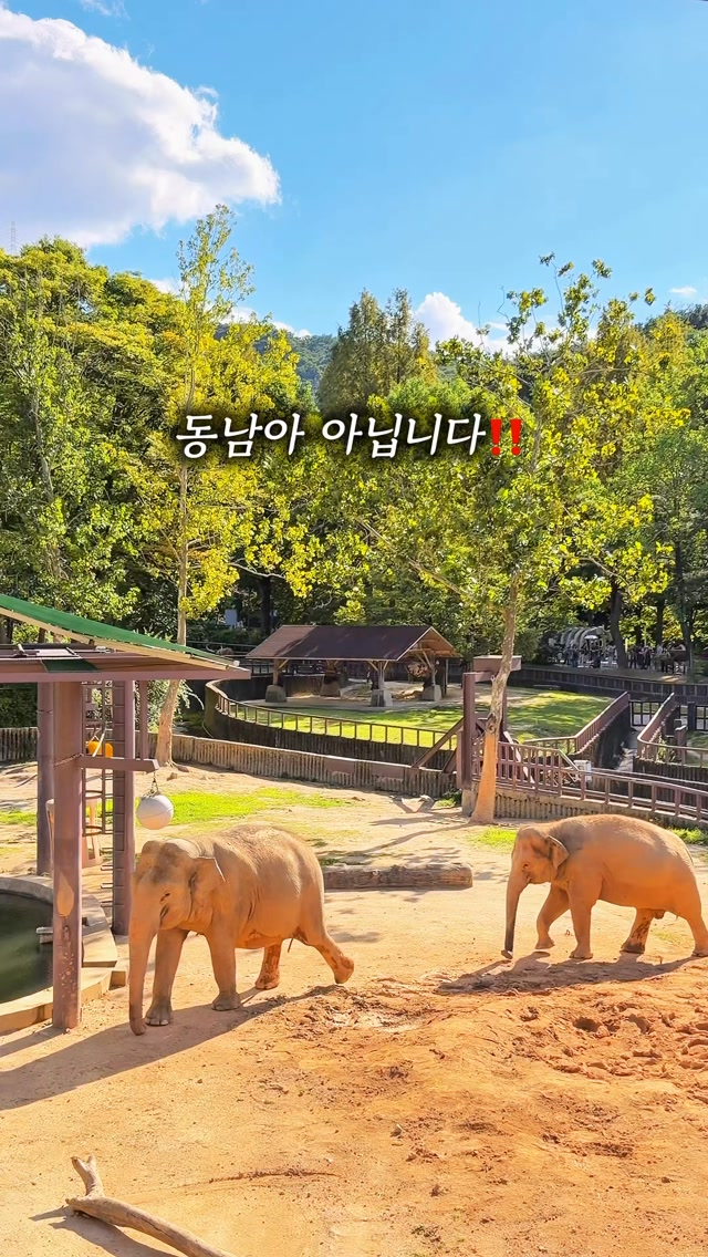 서울대공원 리프트
