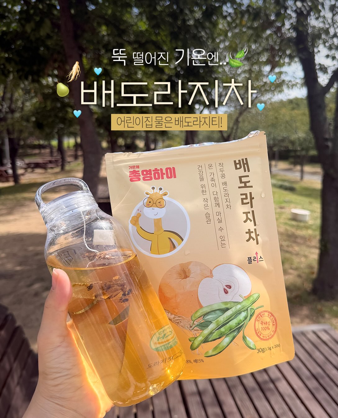 배도라지 티백