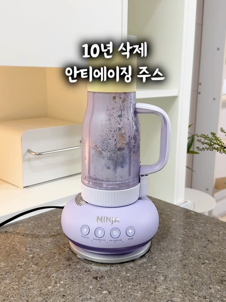 닌자 블랜드 보스