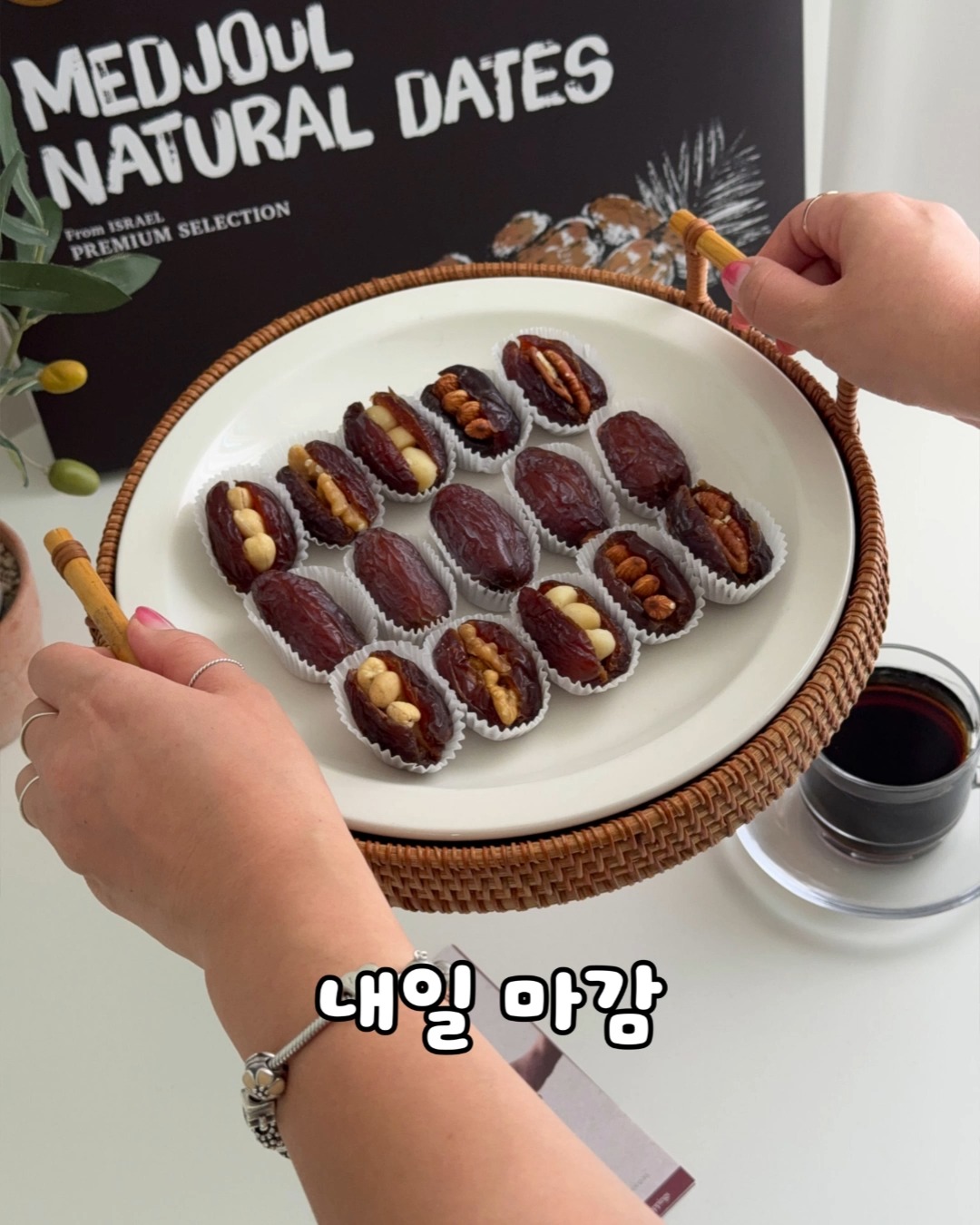 킹 솔로몬 대추야자